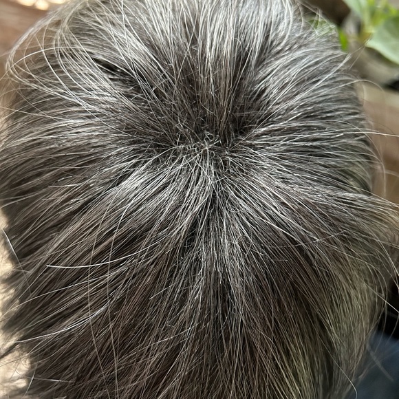 Taylor top piece wig topper Godiva’s Secret Smokey Frost New - Picture 8 of 12